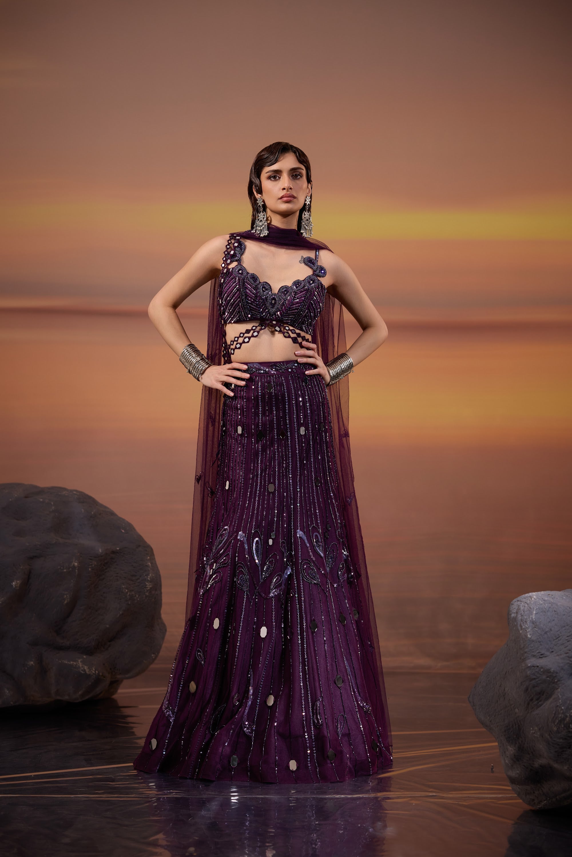 Dark Amethyst Embellished Lehenga Set - main image