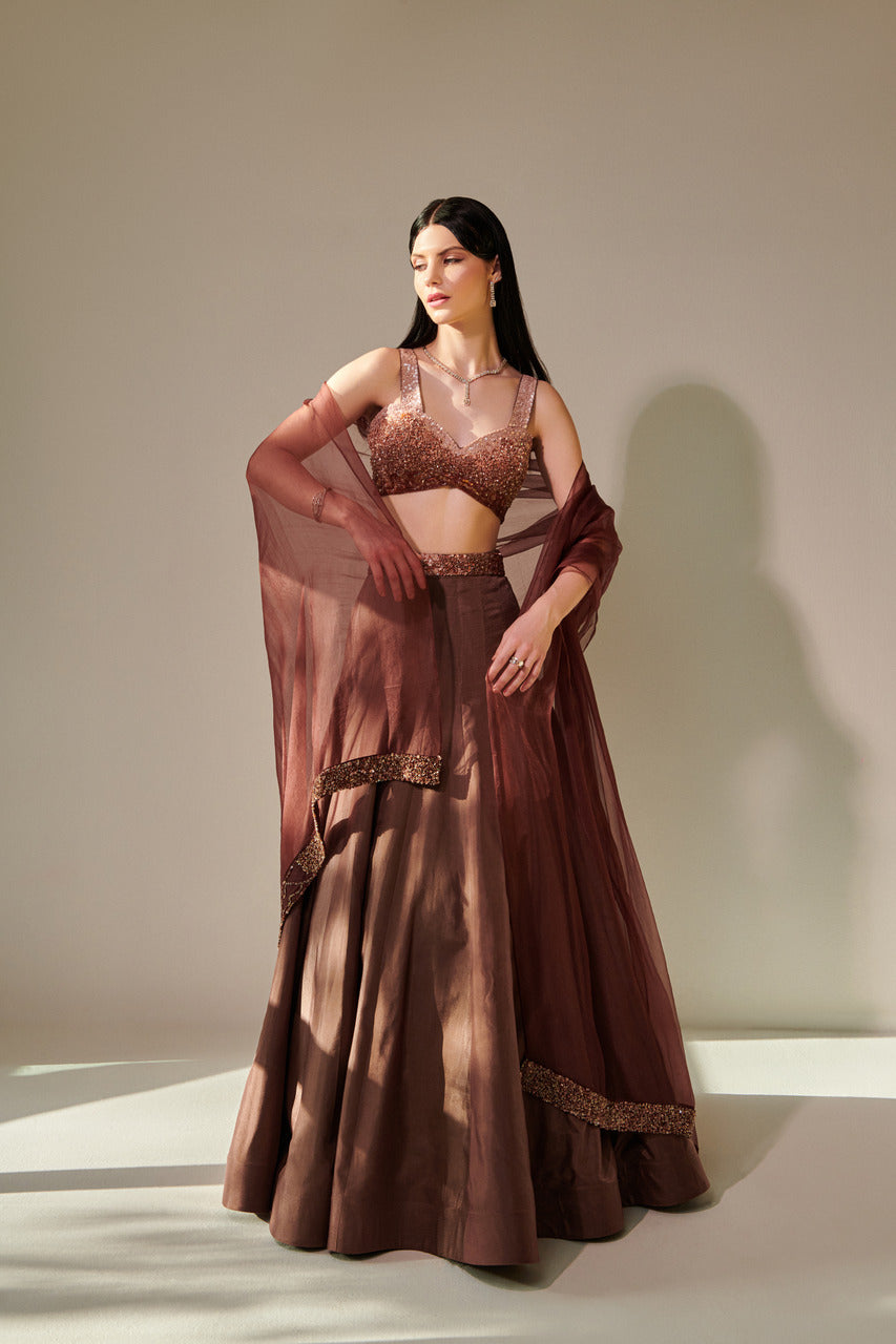 Earthy Brown Lehenga set