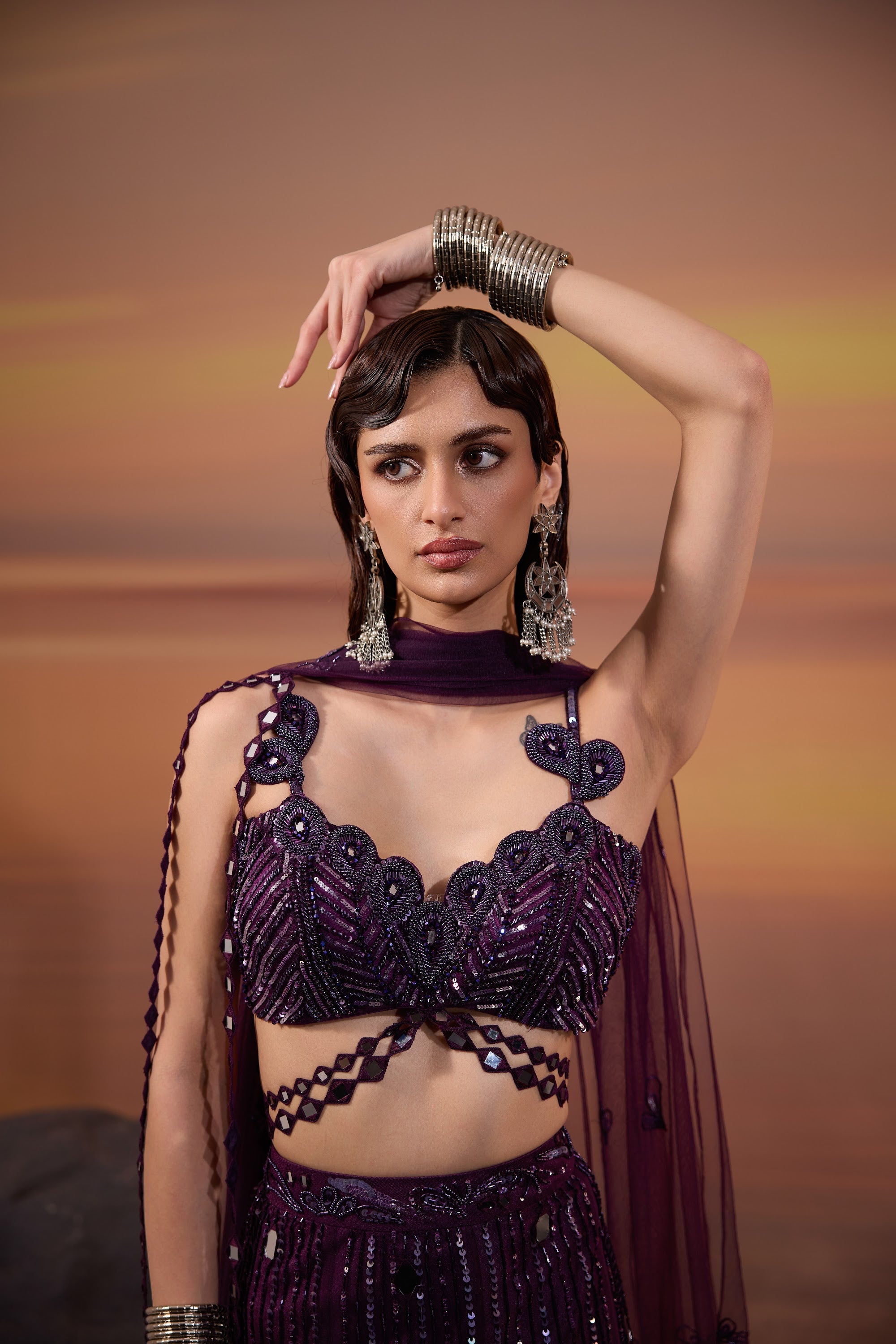 Dark Amethyst Embellished Lehenga Set - view 4