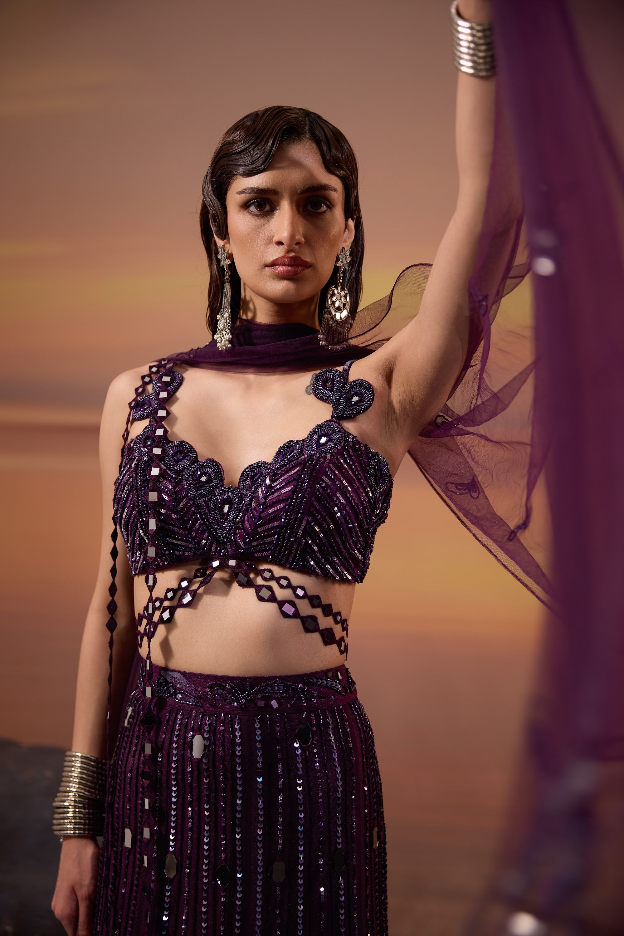 Dark Amethyst Embellished Lehenga Set - view 3