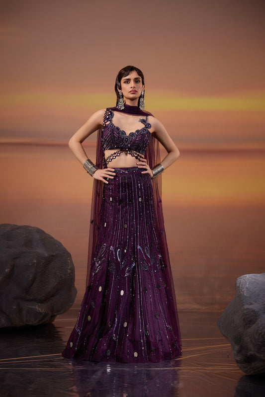 Dark Amethyst Embellished Lehenga Set - main image