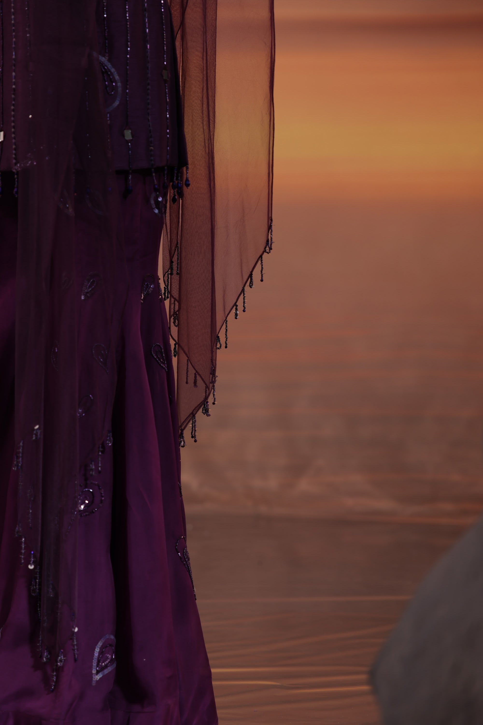 Dark Amethyst Embellished Sharara Set - view 5