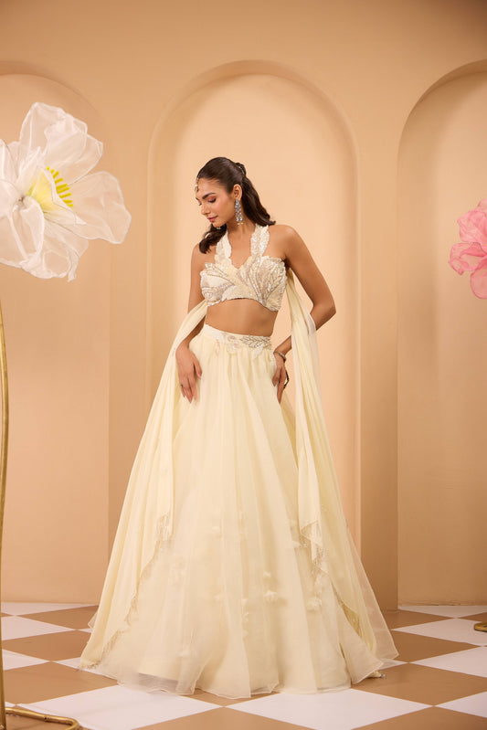 Ivory Hand Embroidered Blouse with Lehenga & attached Dupatta