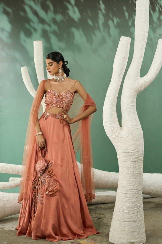 Peach Applique Lehenga Set