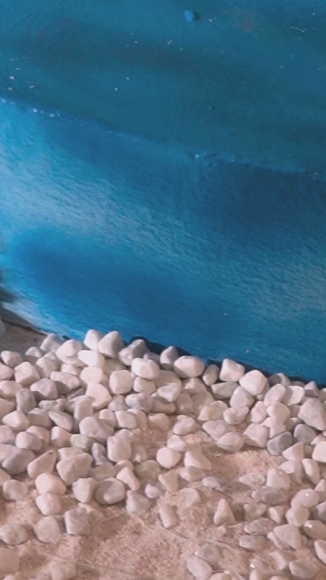 Off Shoulder Cutwork Blouse Lehenga