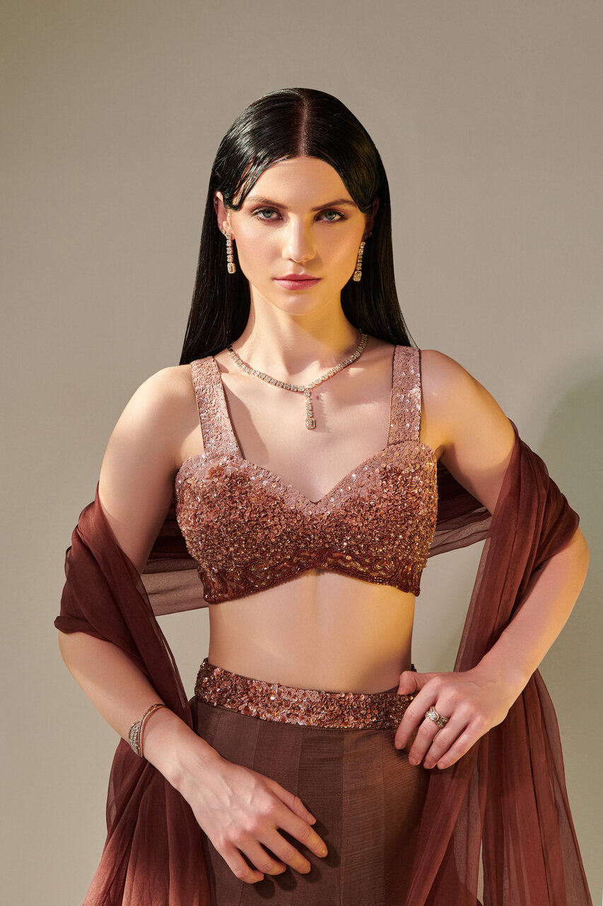 Earthy Brown Lehenga set