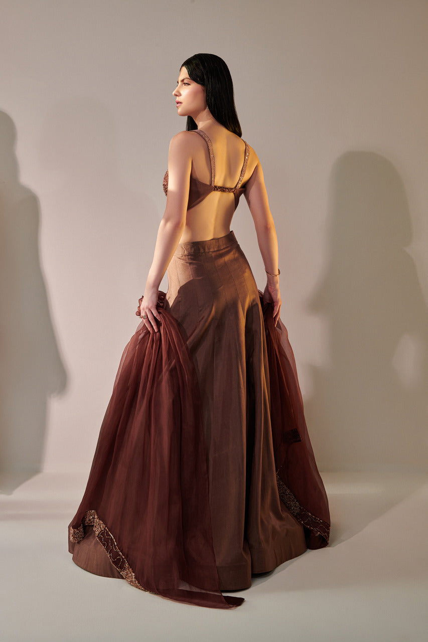 Earthy Brown Lehenga set